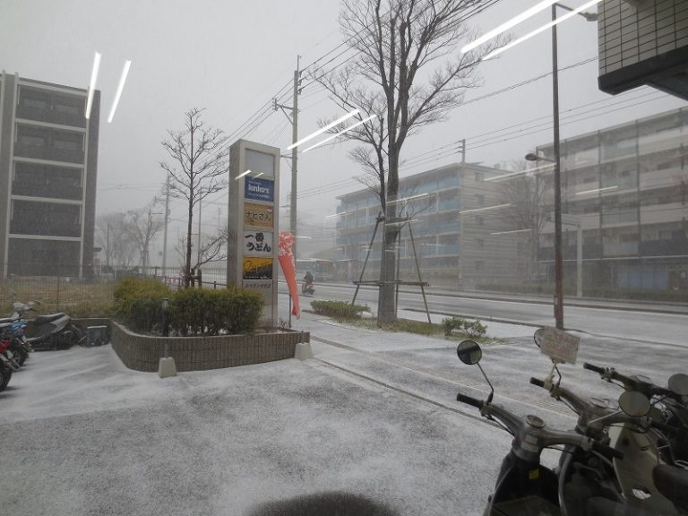 九大伊野キャンパス近くの自転車