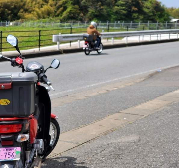 春の陽気に誘われて(^^♪レンタルバイク🏍