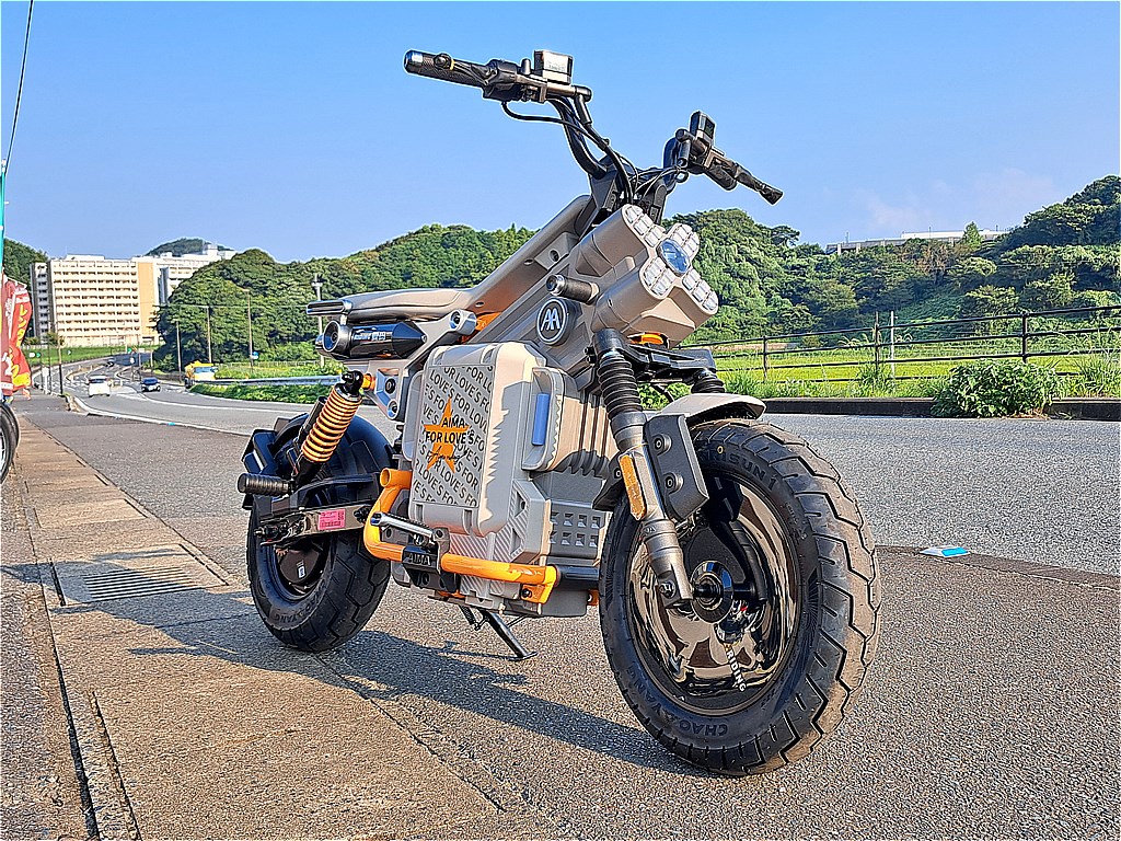 ワイルドだね！！中国製電動スクーター | バイクショップRIZE[ライズ