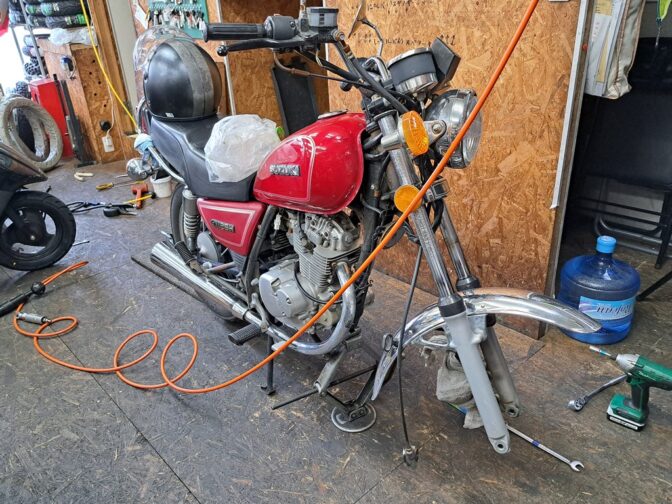 今日のシオン君！