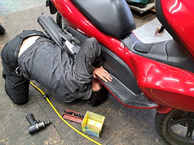 今日のシオン君！！