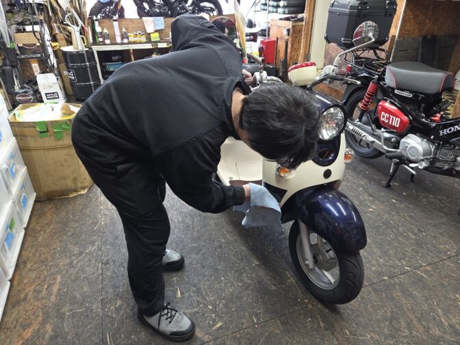 今日のシオン君！