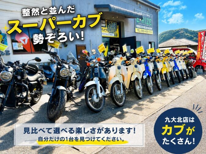 九大北店はスーパーカブが勢ぞろい！見比べて選べます！