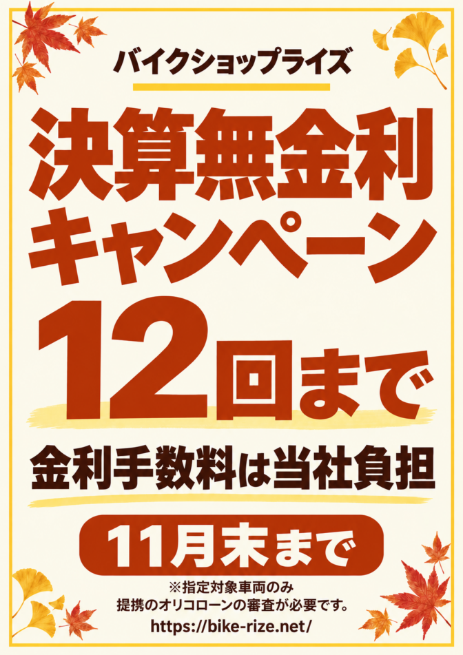 決算無金利キャンペーン！12回払いまで金利手数料はライズが負担します！